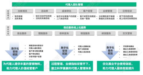 大型险企数字化经营实战 聚焦两大关键业务,落地营销闭环